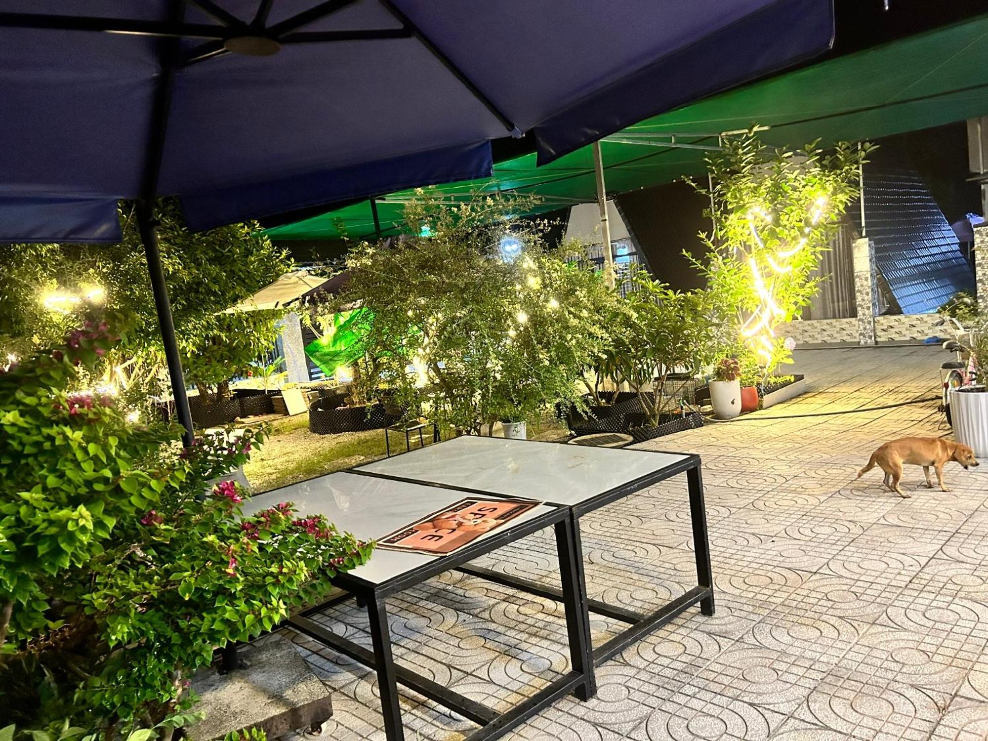 Homestay A Au Family Bình Châu Ngoại thất bức ảnh